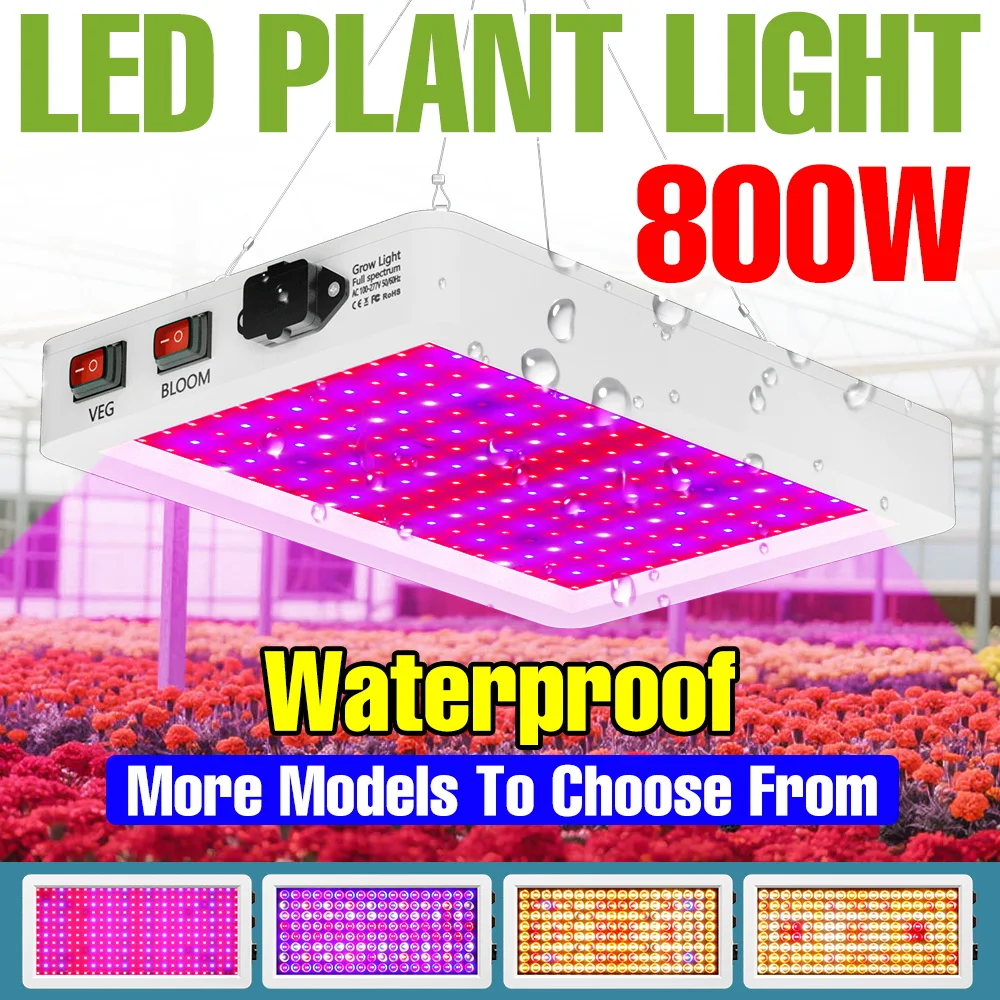 800 Вт светодиодные лампы полного спектра для выращивания растений полного спектра гидропоники лампа для выращивания растений УФ-ИК для тепличной палатки помидор овощи
800 Вт светодиодные лампы полного спектра для выращивания растений полного спектра гидропоники лампа для выращивания растений УФ-ИК для тепличной палатки помидор овощи