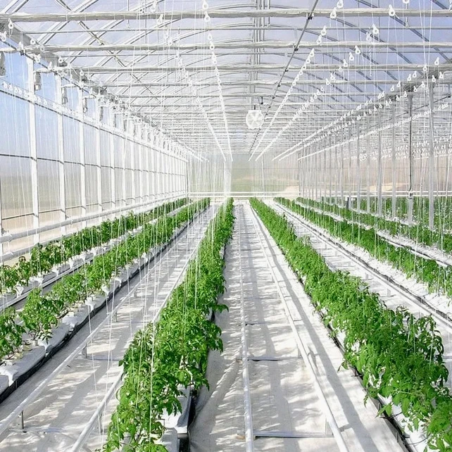 Customized greenhouseAgricultural Business Polycarbonate Sheet Green House Tomato/Lettuce/Cucumber Hydroponic System Multi Span
Customized greenhouseAgricultural Business Polycarbonate Sheet Green House Tomato/Lettuce/Cucumber Hydroponic System Multi Span