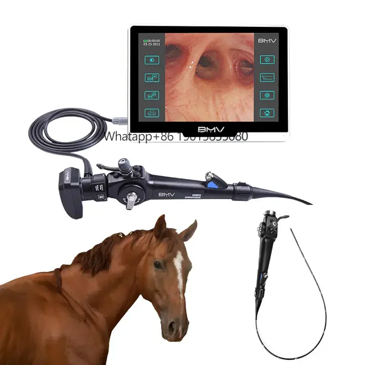 Hot Selling Veterinary VideoGastroscope Machine for Equine Animal Surgery Endoscopy
Hot Selling Veterinary VideoGastroscope Machine for Equine Animal Surgery Endoscopy