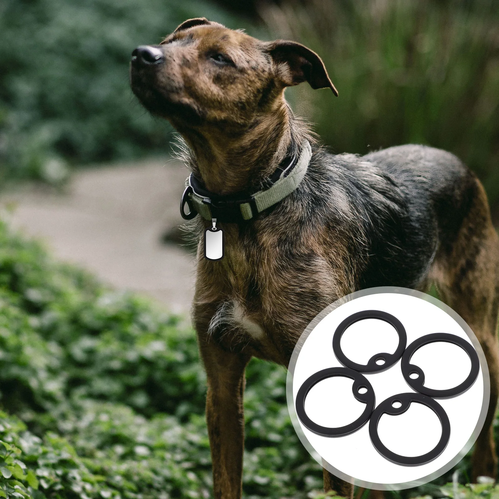 4 pcs Silicone Dog Tag Silencers Military Noise Reducer Durable Thick Rubber For Id Tags Black
4 pcs Silicone Dog Tag Silencers Military Noise Reducer Durable Thick Rubber For Id Tags Black