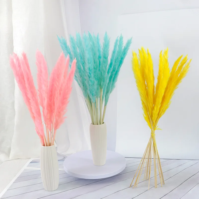 Dried Pampas Grass Dekoration Wedding Flower Bunch Natural Plants Home Decor Christmas Flowers Artificial Wholesale
Dried Pampas Grass Dekoration Wedding Flower Bunch Natural Plants Home Decor Christmas Flowers Artificial Wholesale