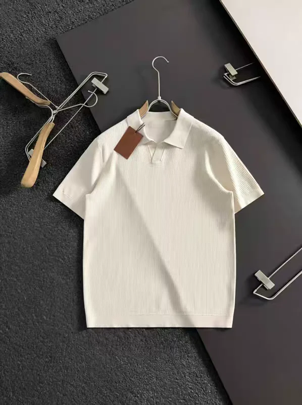 Italian Style Men's Knitted Shirt Simple No Logo Casual Short Sleeve Summer Fashion Elegant Sea Eagle Collar
Italian Style Men's Knitted Shirt Simple No Logo Casual Short Sleeve Summer Fashion Elegant Sea Eagle Collar