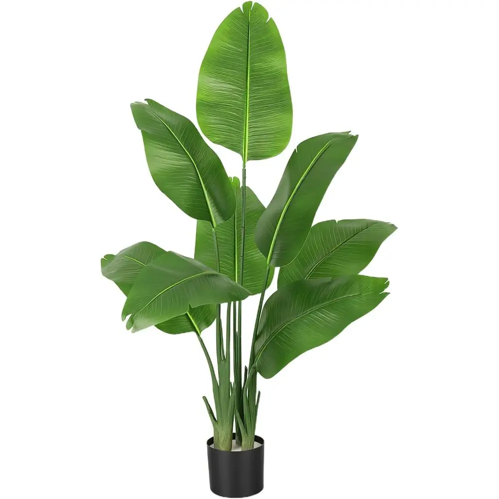 Искусственная пальма высотой 6 футов с кашпо, идеально подходит для использования в помещении и на улице, идеально для дома, ванной комнаты, веранды и патио.
Искусственная пальма высотой 6 футов с кашпо, идеально подходит для использования в помещении и на улице, идеально для дома, ванной комнаты, веранды и патио.