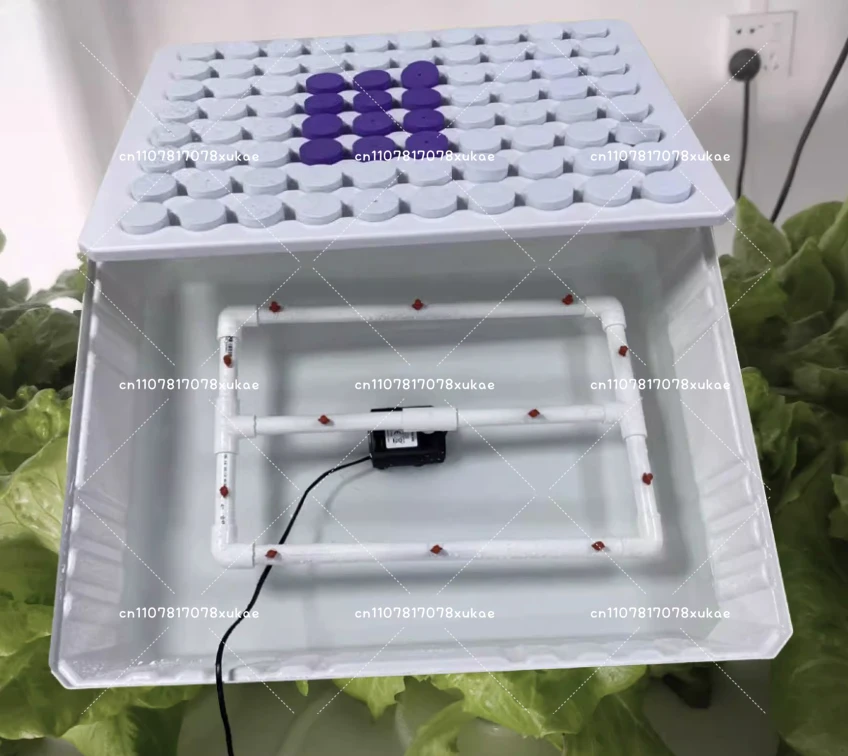 Hydroponic System Home Garden Vegetable Hydroponics Clone Tray ABS Nursery Pot Aeroponic Seed Planting Tray with Spray system
Hydroponic System Home Garden Vegetable Hydroponics Clone Tray ABS Nursery Pot Aeroponic Seed Planting Tray with Spray system