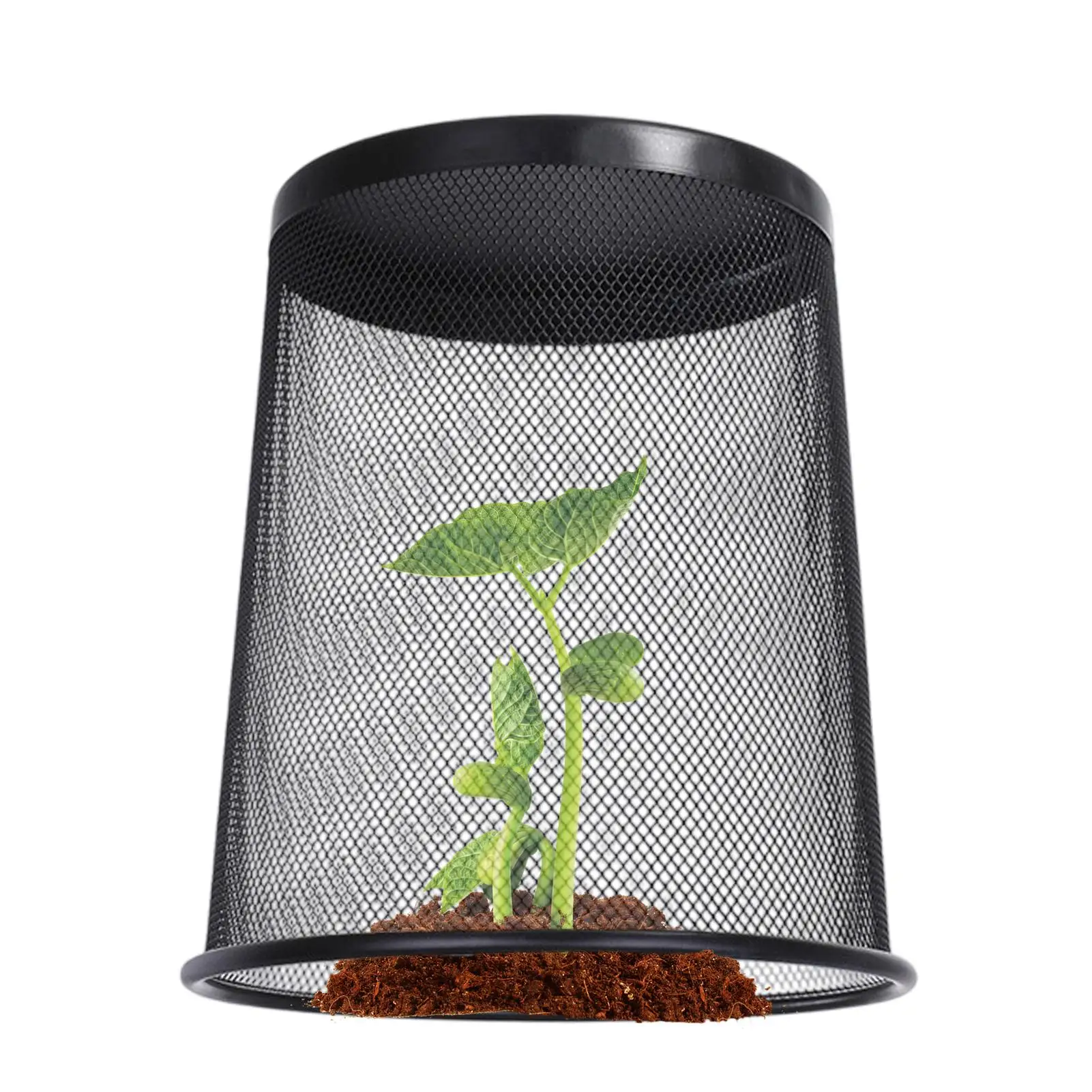 Plant Cloche Metal Wire Animal Guard Protection Cage Plants Protection Seedling Cloches For Raised Bed Vegetable Patch Patio
Plant Cloche Metal Wire Animal Guard Protection Cage Plants Protection Seedling Cloches For Raised Bed Vegetable Patch Patio