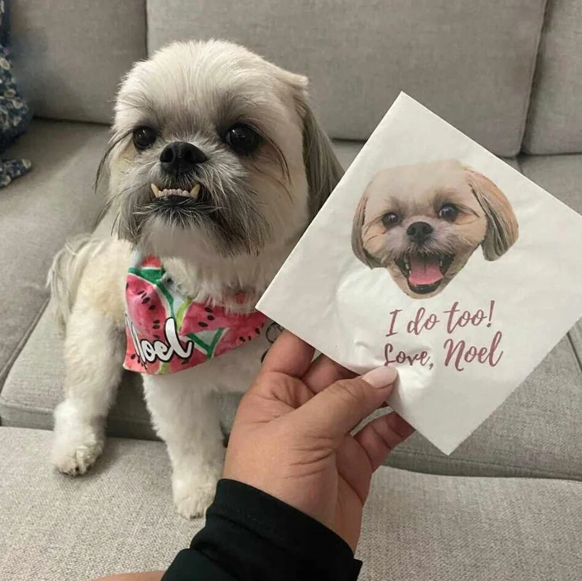 25PCS Custom Pet Cocktail Napkins • Personalized Dog Wedding Napkins • Bridal Shower • Rehearsal Dinner • Dog Party Napkins Colo
25PCS Custom Pet Cocktail Napkins • Personalized Dog Wedding Napkins • Bridal Shower • Rehearsal Dinner • Dog Party Napkins Colo