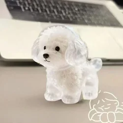 Cute Dog Hair Storage Key Chain Transparent DIY Pet Hair Keychain Hair Container Key Chain Puppy Pendants Dog Hair Collection Cute Dog Hair Storage Key Chain Transparent DIY Pet Hair Keychain Hair Container Key Chain Puppy Pendants Dog Hair Collection