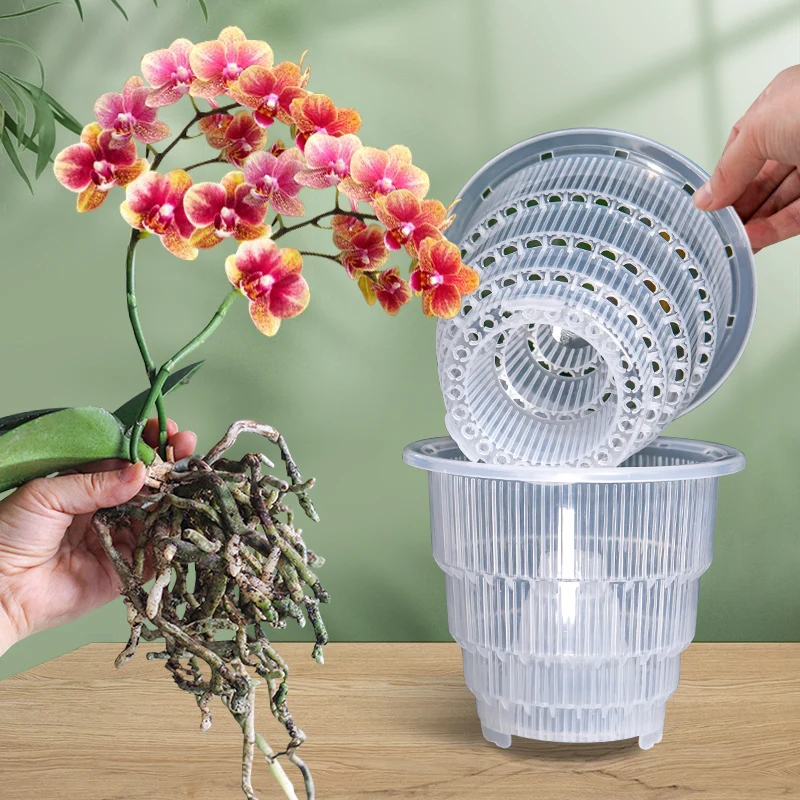 Meshpot Orchid Pot Clear Orchid Pots with Holes plastic orchid pots in 10cm 12cm 15cm
Meshpot Orchid Pot Clear Orchid Pots with Holes plastic orchid pots in 10cm 12cm 15cm