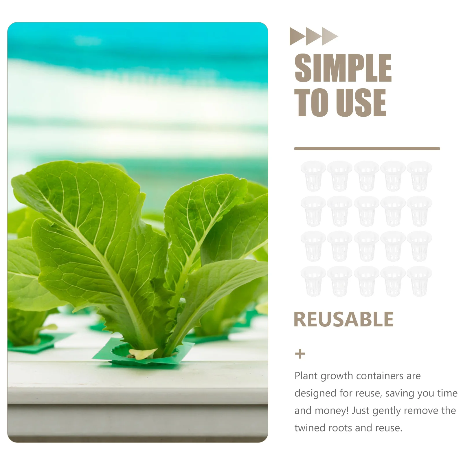 60pcs Hydroponic Net Cups Planting Baskets Plastic Mesh Pots Germination Net Pots For Hydroponics Baskets Root Control Corrosion
60pcs Hydroponic Net Cups Planting Baskets Plastic Mesh Pots Germination Net Pots For Hydroponics Baskets Root Control Corrosion