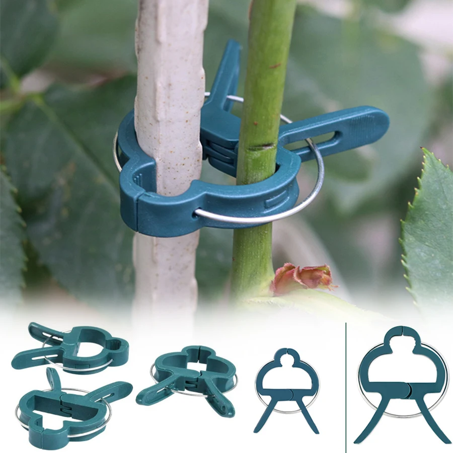 10Pcs Reusable Green Garden Plant Fixed Clips for Greenhous Vegetables Flowers Stem Vines Grape Clamp Support Straighten Stems
10Pcs Reusable Green Garden Plant Fixed Clips for Greenhous Vegetables Flowers Stem Vines Grape Clamp Support Straighten Stems