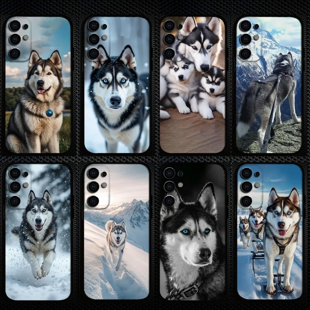 Cute Dog Siberian Husky Phone Case For Samsung S25/S24/S23/S22/S21/S20/Plus,Fe,Lite/Others Black Cover
Cute Dog Siberian Husky Phone Case For Samsung S25/S24/S23/S22/S21/S20/Plus,Fe,Lite/Others Black Cover