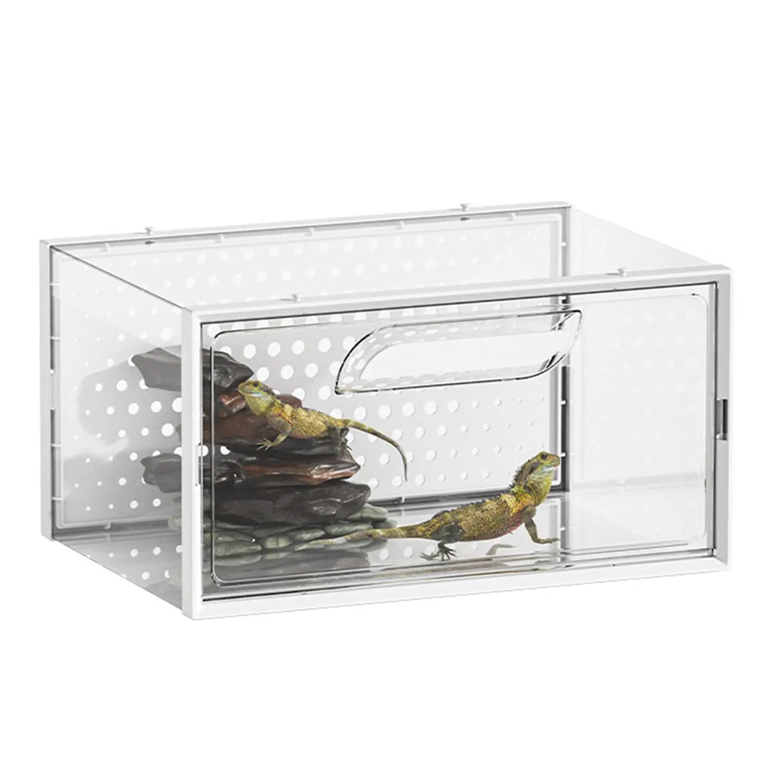 Reptile Terrarium with Ventilation Lid Portable Breeding Box Animal Habitat Cage Accessories for Lizards and Geckos
Reptile Terrarium with Ventilation Lid Portable Breeding Box Animal Habitat Cage Accessories for Lizards and Geckos