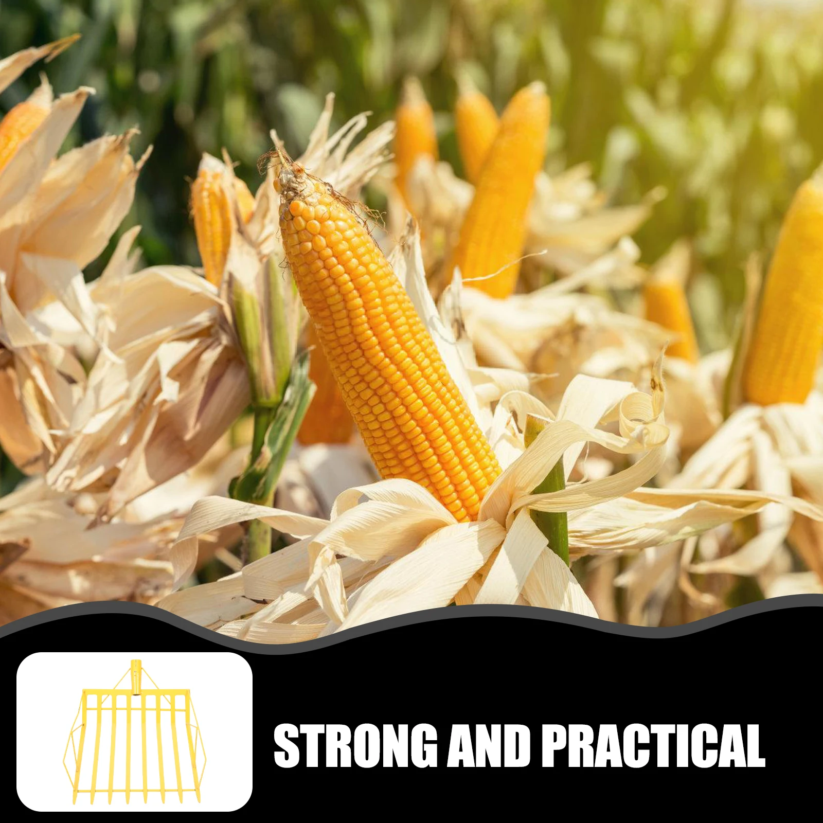 Corn Shovel High-carbon Steel Large Head Smooth Edge Gardening Scooper Farm Tool Soil Digging Maize Spade Lightweight Practical
Corn Shovel High-carbon Steel Large Head Smooth Edge Gardening Scooper Farm Tool Soil Digging Maize Spade Lightweight Practical
