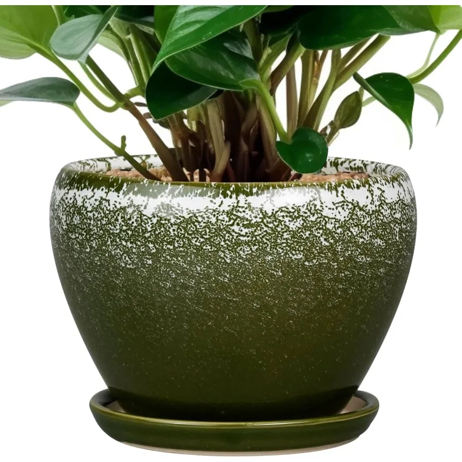 6-дюймовый керамический горшок с дренажным отверстием и блюдцем для комнатных растений Современный круглый горшок для суккулентов темно-зеленого цвета Идеально подходит для H
6-дюймовый керамический горшок с дренажным отверстием и блюдцем для комнатных растений Современный круглый горшок для суккулентов темно-зеленого цвета Идеально подходит для H
