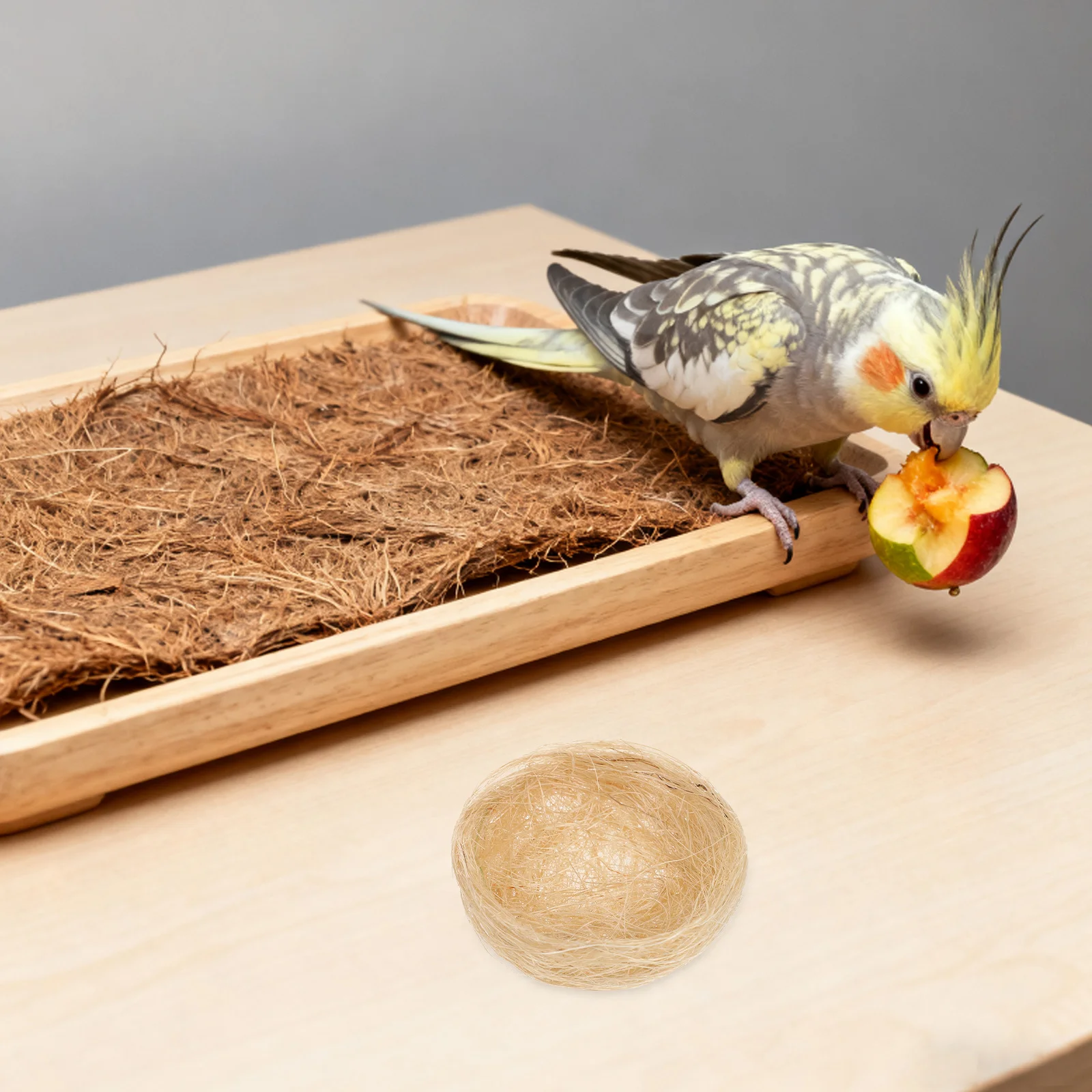 10pcs Artificial Bird Nest Decorative Fake Natural Rustic Bird Nest For Garden Wedding Easter Party Decoration Mini Landscape
10pcs Artificial Bird Nest Decorative Fake Natural Rustic Bird Nest For Garden Wedding Easter Party Decoration Mini Landscape