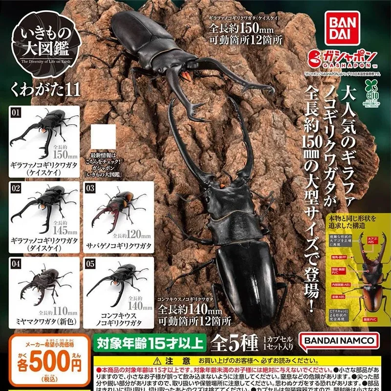Genuine Bandai Stag Beetle Model Prosopocoilus Giraffa Realistic Simulation Insect Gashapon Toys Adult Collection Display Gifts
Genuine Bandai Stag Beetle Model Prosopocoilus Giraffa Realistic Simulation Insect Gashapon Toys Adult Collection Display Gifts