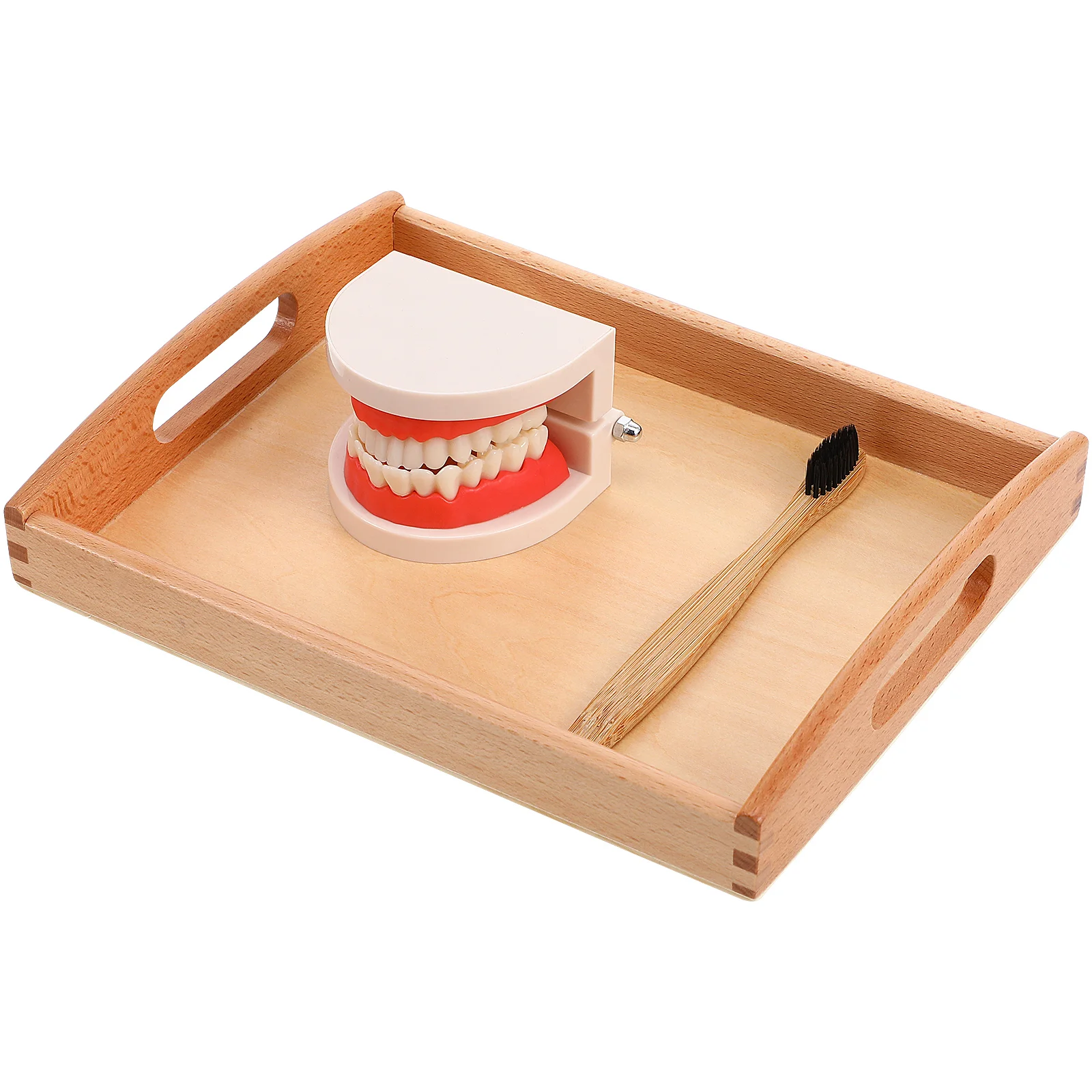 Children's Teeth Brushing Teaching Aids Wash Gargle Toy Wooden Cognitive Tooth Toddler Toothbrush
Children's Teeth Brushing Teaching Aids Wash Gargle Toy Wooden Cognitive Tooth Toddler Toothbrush
