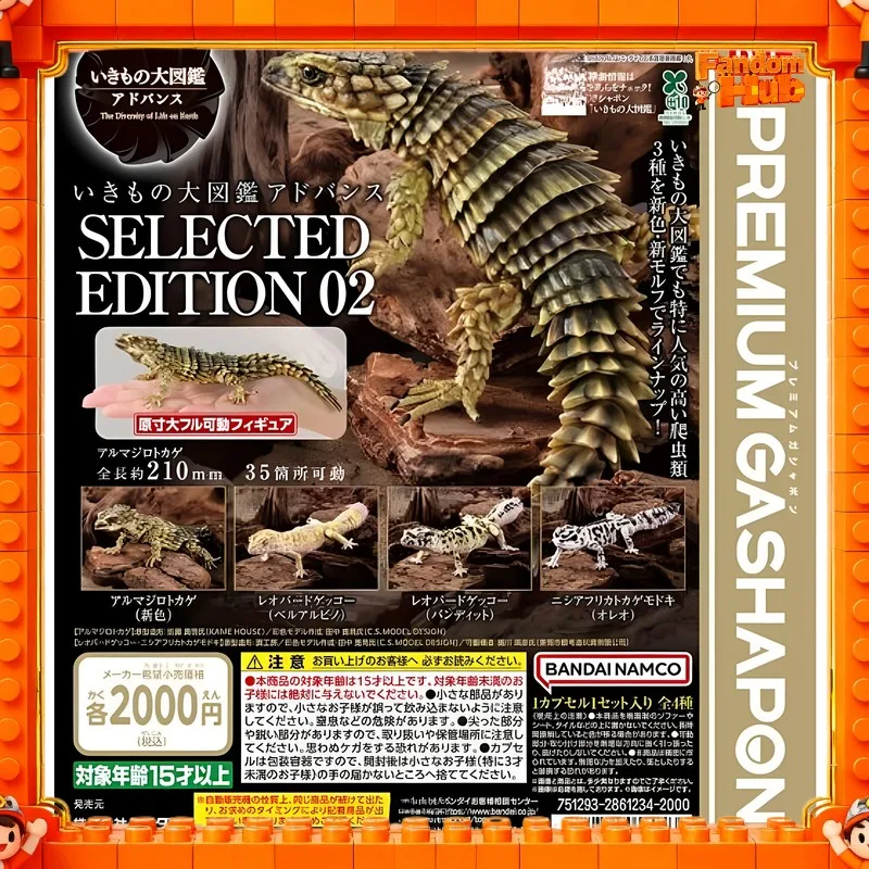 Original Bandai Gp Biological Encyclopedia Gecko Selection 02 Simulated Animal Ornament 21cm Action Figure Model Toy Gift
Original Bandai Gp Biological Encyclopedia Gecko Selection 02 Simulated Animal Ornament 21cm Action Figure Model Toy Gift