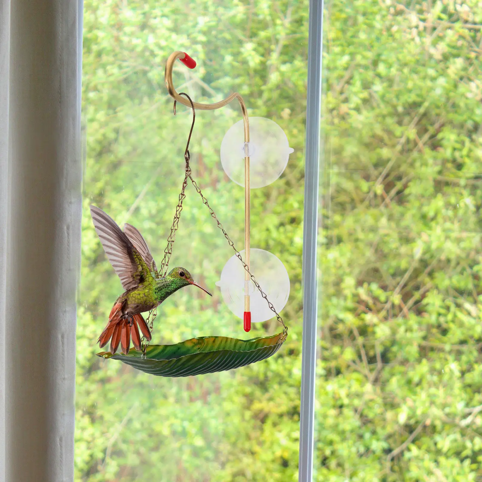 Bird Feeder Window Hook Hanging Feeders Bracket Feeder Bracket For outside House Hanging Feeder for birds Window Mount Feeder
Bird Feeder Window Hook Hanging Feeders Bracket Feeder Bracket For outside House Hanging Feeder for birds Window Mount Feeder