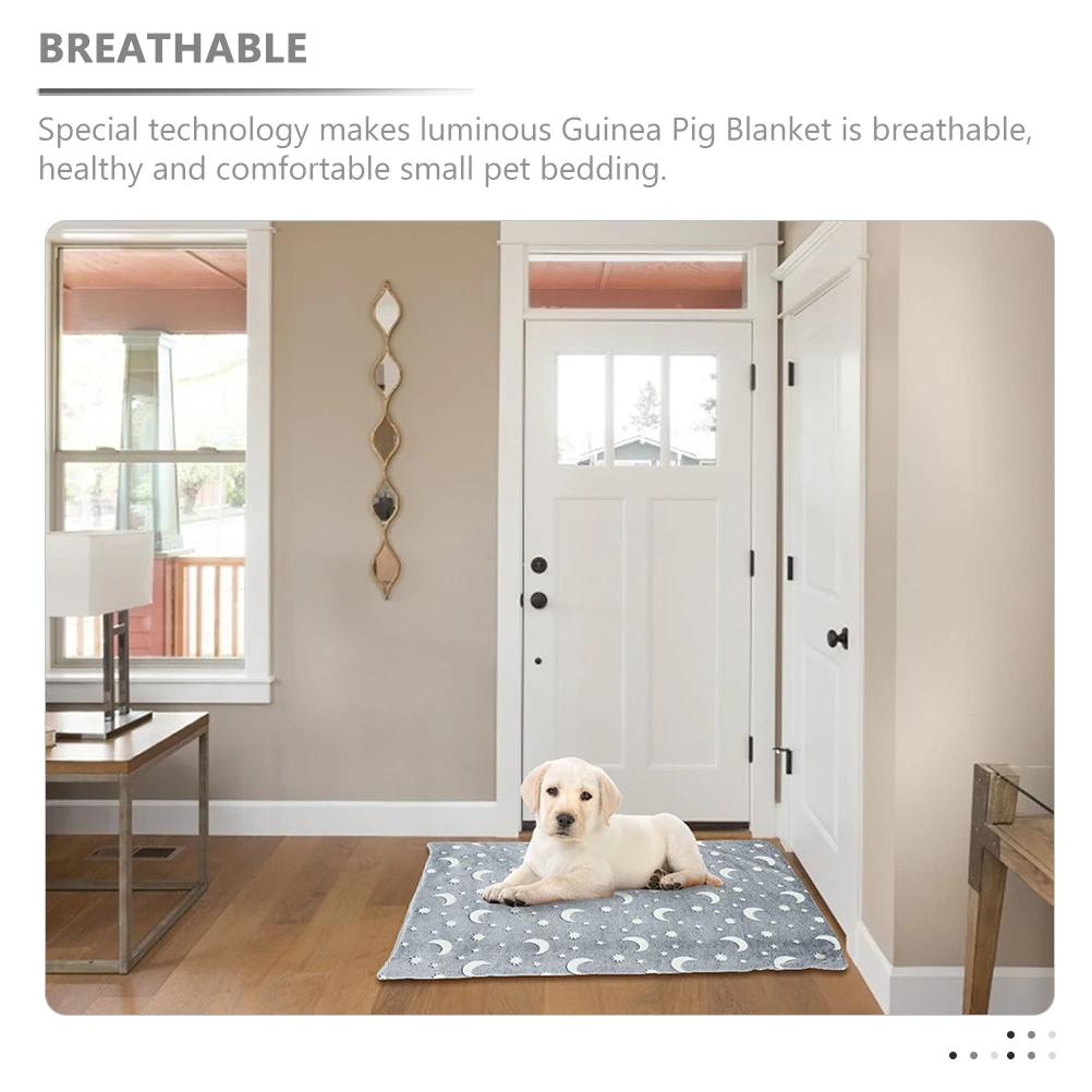 Warm Supple Guinea Pigs Blankets Pad Cozy 40x50cm Winter Blanket Breathable Night Glow Small Pet Bedding Absorbent Towel
Warm Supple Guinea Pigs Blankets Pad Cozy 40x50cm Winter Blanket Breathable Night Glow Small Pet Bedding Absorbent Towel