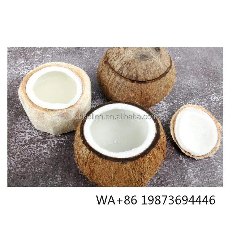 Coconut Peeler Machine Commercial Coconut Shell Remover for Beach & Market
Coconut Peeler Machine Commercial Coconut Shell Remover for Beach & Market