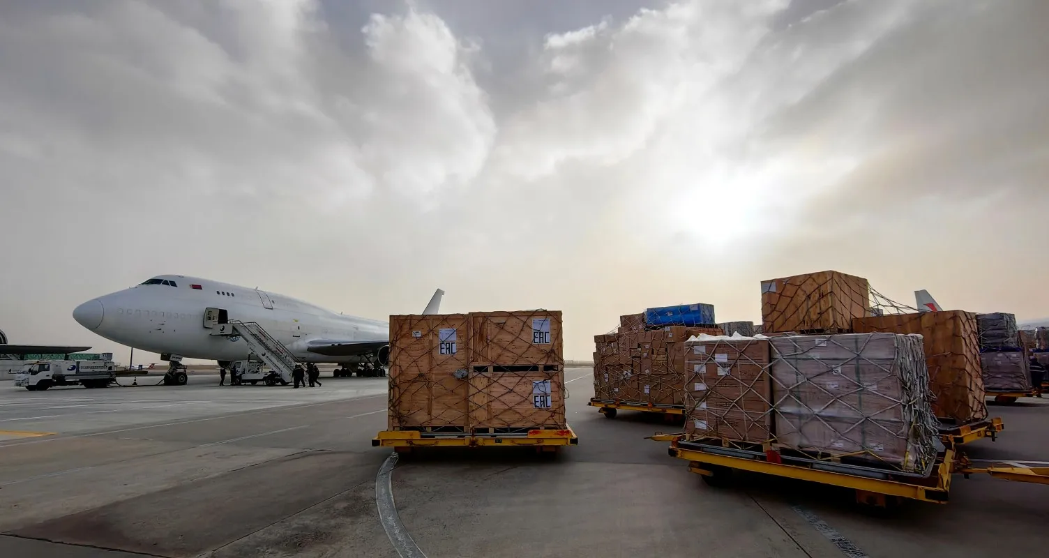 Ссылка на определенные товары для корректировки разницы в цене
Ссылка на определенные товары для корректировки разницы в цене