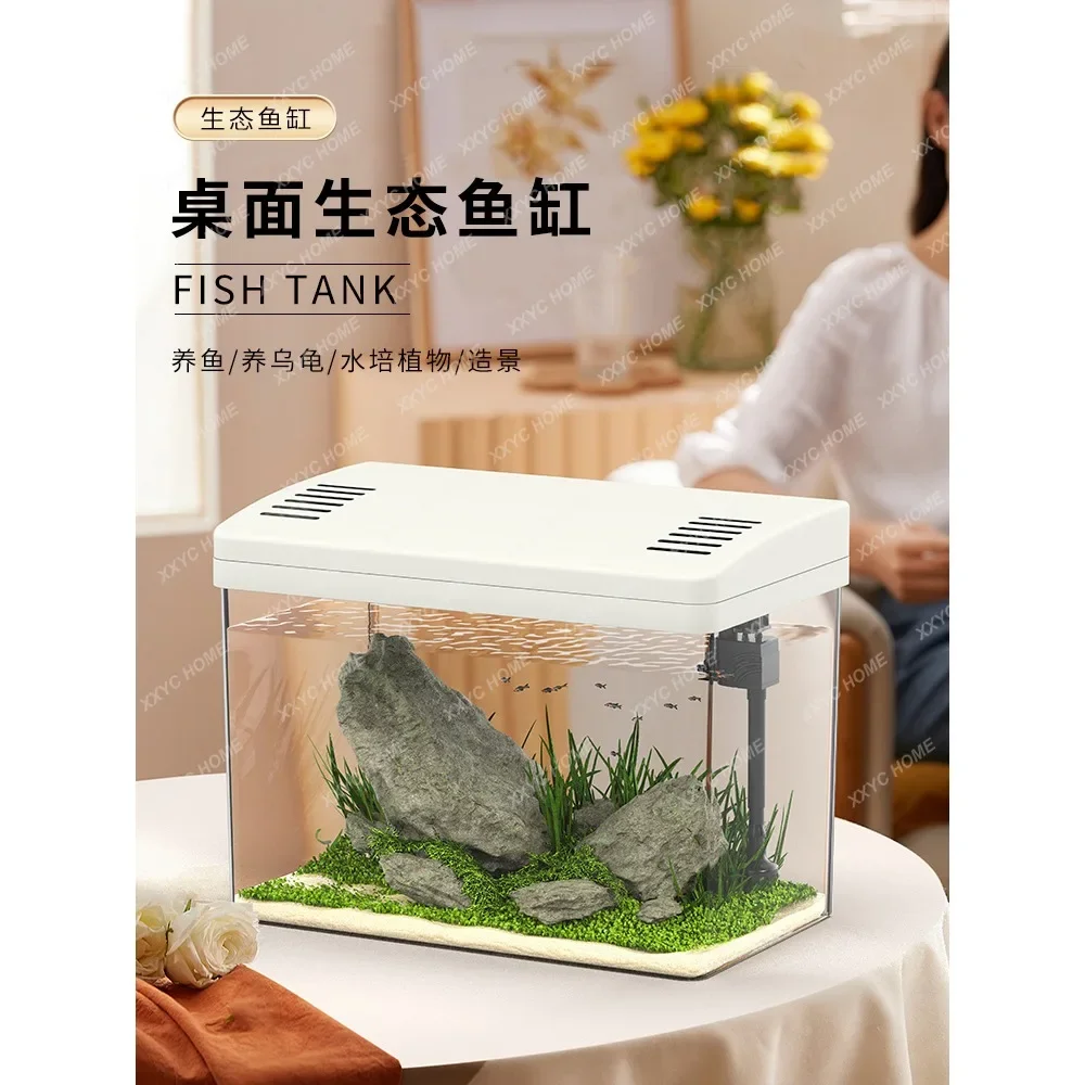 Acrylic Fish Tank Living Room Small Landscaping Oxygen Water Filtration Pump Goldfish Betta Tank
Acrylic Fish Tank Living Room Small Landscaping Oxygen Water Filtration Pump Goldfish Betta Tank