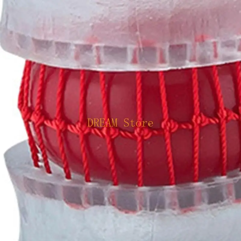 Anatomy Lumbar Spine Model Shows 4th Lumbar Vertebra 5th Lumbar Vertebra Pathological Lumbar Disc Normal Disc Nerve best sale
Anatomy Lumbar Spine Model Shows 4th Lumbar Vertebra 5th Lumbar Vertebra Pathological Lumbar Disc Normal Disc Nerve best sale