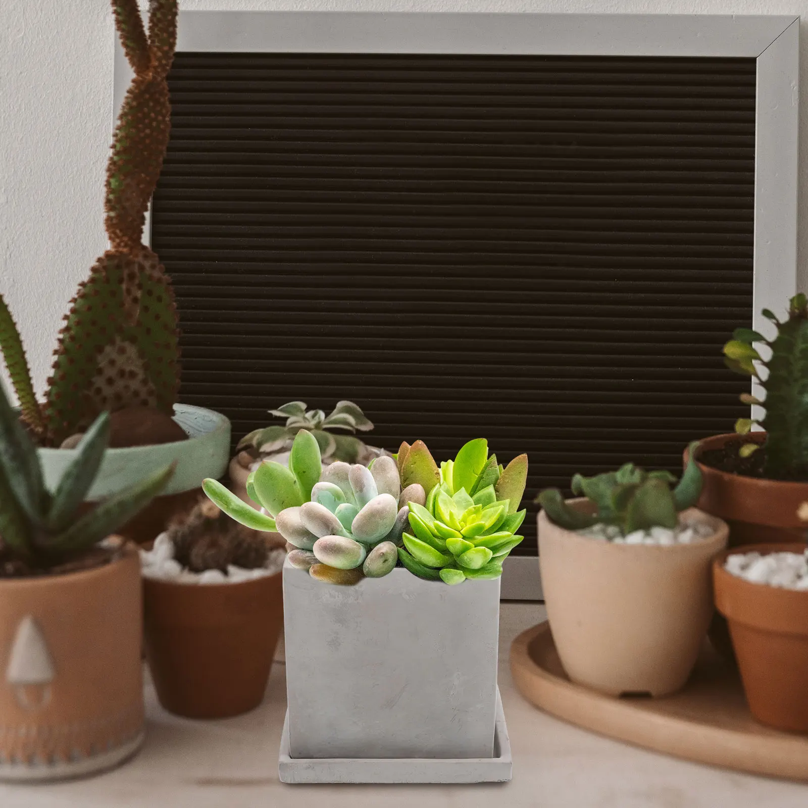 Cement Flowerpot Tray Grey Container Succulent Planter Imitation Stone Pattern Bonsai Pots Garden Planter Balcony Home Gardening
Cement Flowerpot Tray Grey Container Succulent Planter Imitation Stone Pattern Bonsai Pots Garden Planter Balcony Home Gardening