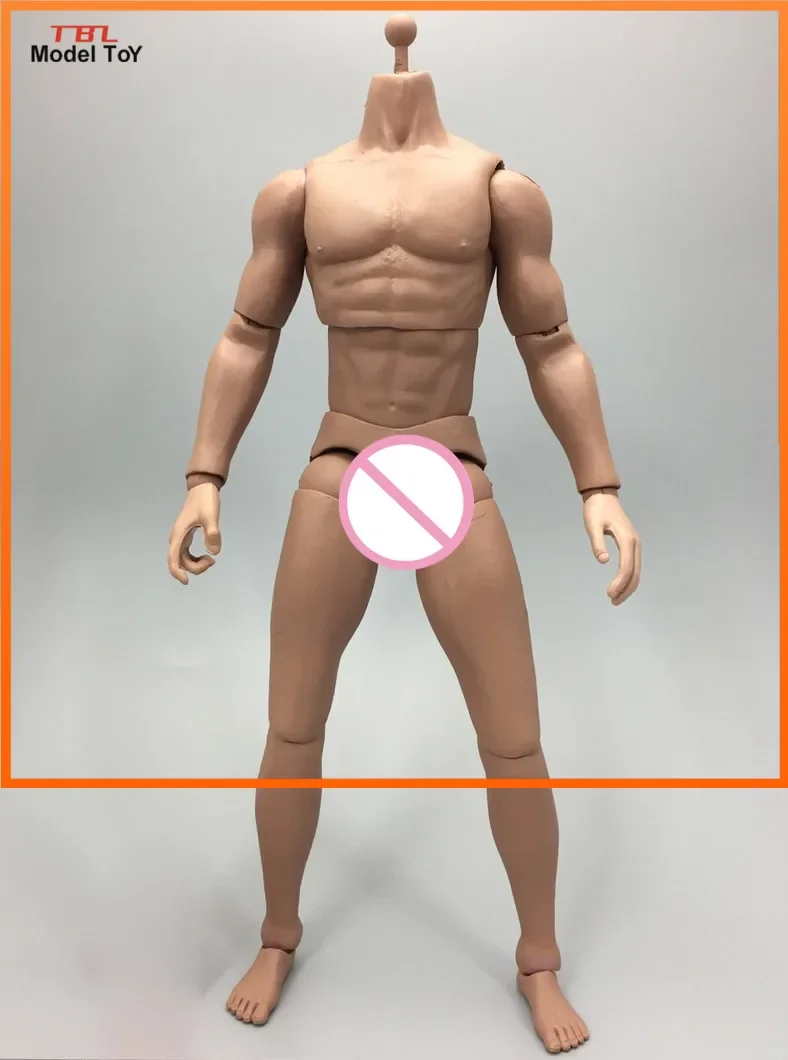 Collection Toys 1/6 Male General Skin Color Muscular Semi Body Figure for 12 inches DIY Action Figures
Collection Toys 1/6 Male General Skin Color Muscular Semi Body Figure for 12 inches DIY Action Figures
