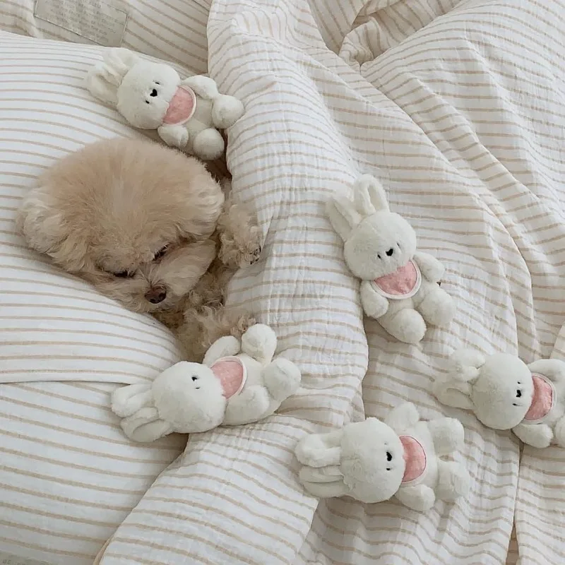 Rabbit Dog Toy Bunny Squirrel Sleeping Accompanying Cute Pet Toy Pet Sounding Funny Toothbrush Toy Cat Plush Dogs Accessories
Rabbit Dog Toy Bunny Squirrel Sleeping Accompanying Cute Pet Toy Pet Sounding Funny Toothbrush Toy Cat Plush Dogs Accessories