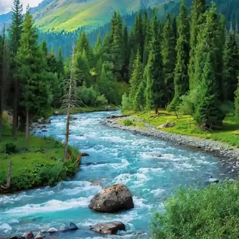 Portable Hidden Devices Detector Rechargeable Privacy Protector 25H Working Time for Solo Users Hotel Office Home Car
Portable Hidden Devices Detector Rechargeable Privacy Protector 25H Working Time for Solo Users Hotel Office Home Car