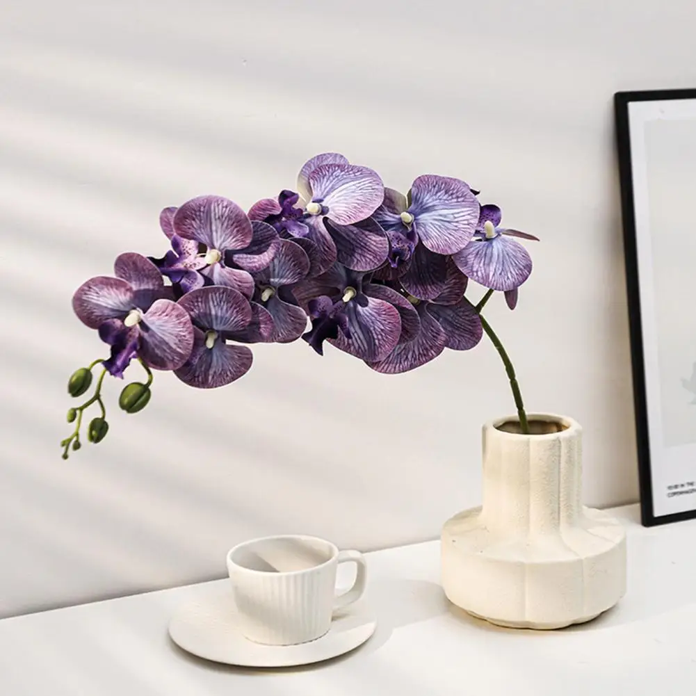 Artificial Phalaenopsis Flowers 10-Head Stem 3D Printing Realistic Artificial Orchids for Home Living Room Wedding Party Table D
Artificial Phalaenopsis Flowers 10-Head Stem 3D Printing Realistic Artificial Orchids for Home Living Room Wedding Party Table D