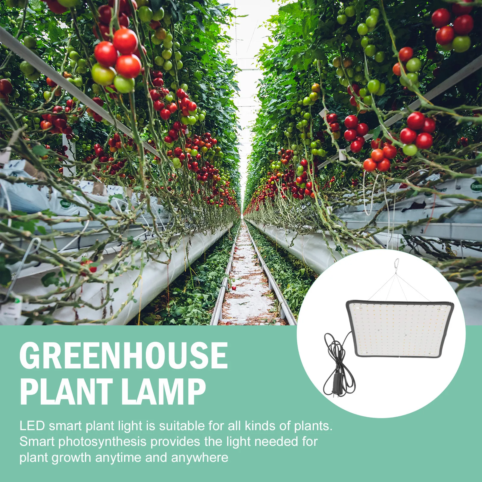 1Set LED Grow Light for Plants Hanging Plant Growth Lamp with Chain Dimmable 4- Indoor Greenhouse Use
1Set LED Grow Light for Plants Hanging Plant Growth Lamp with Chain Dimmable 4- Indoor Greenhouse Use