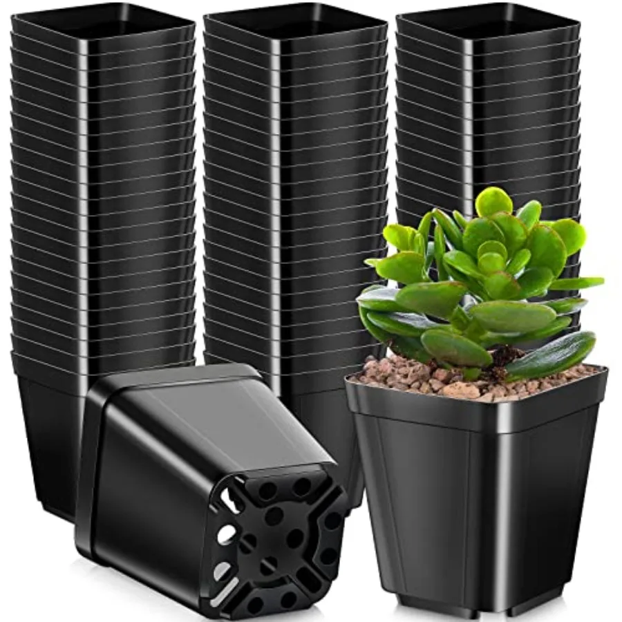 1000 Pack 2 Inch Plastic Seedling Pots Black Square Nursery Pots Small Planter Plant Starter Pots Seed Starting Pots Planter Nu
1000 Pack 2 Inch Plastic Seedling Pots Black Square Nursery Pots Small Planter Plant Starter Pots Seed Starting Pots Planter Nu