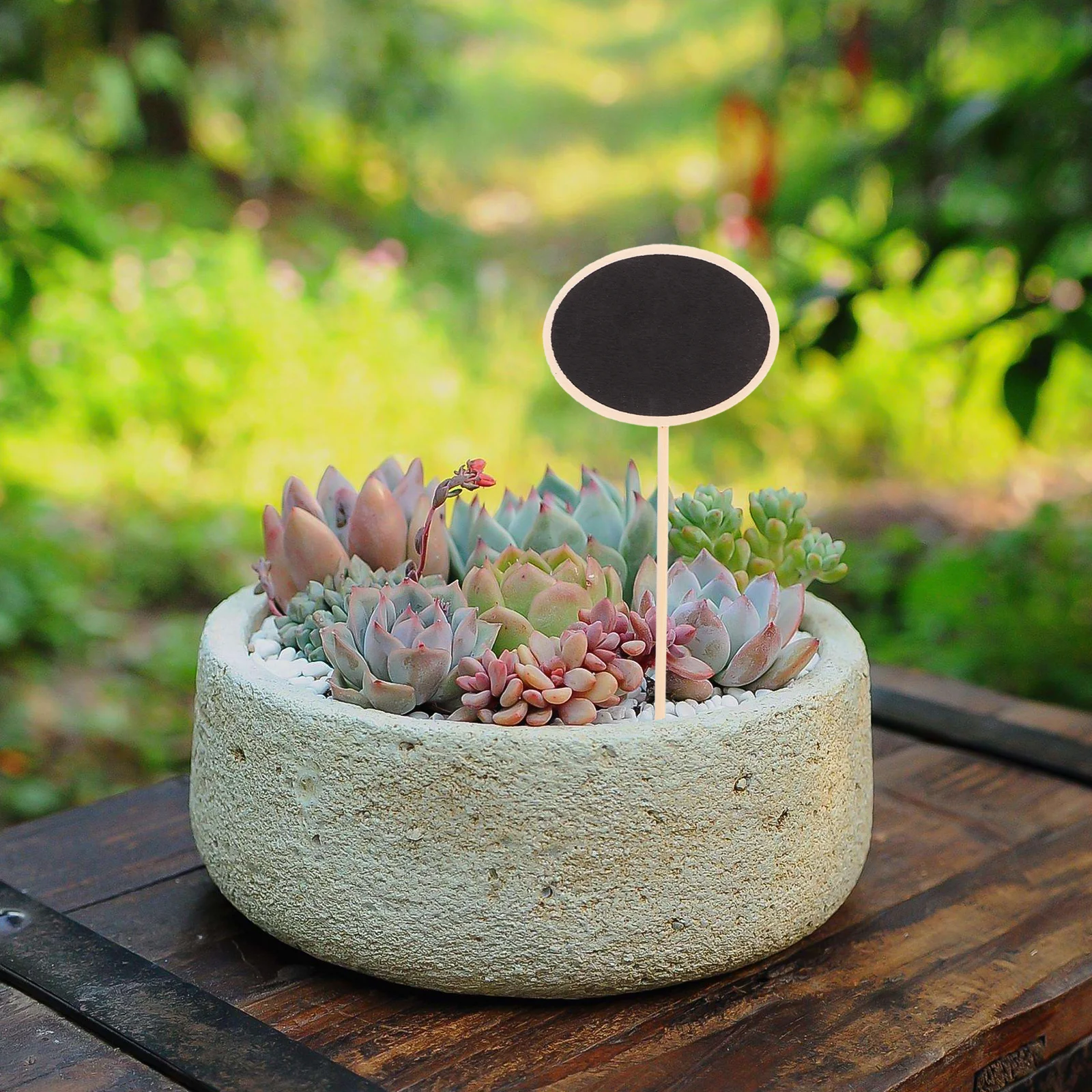 20Pcs Wood Plant Labels Garden Markers Sturdy Writable Chalkboard Stakes for Succulent Flower Identification Plant Labels
20Pcs Wood Plant Labels Garden Markers Sturdy Writable Chalkboard Stakes for Succulent Flower Identification Plant Labels