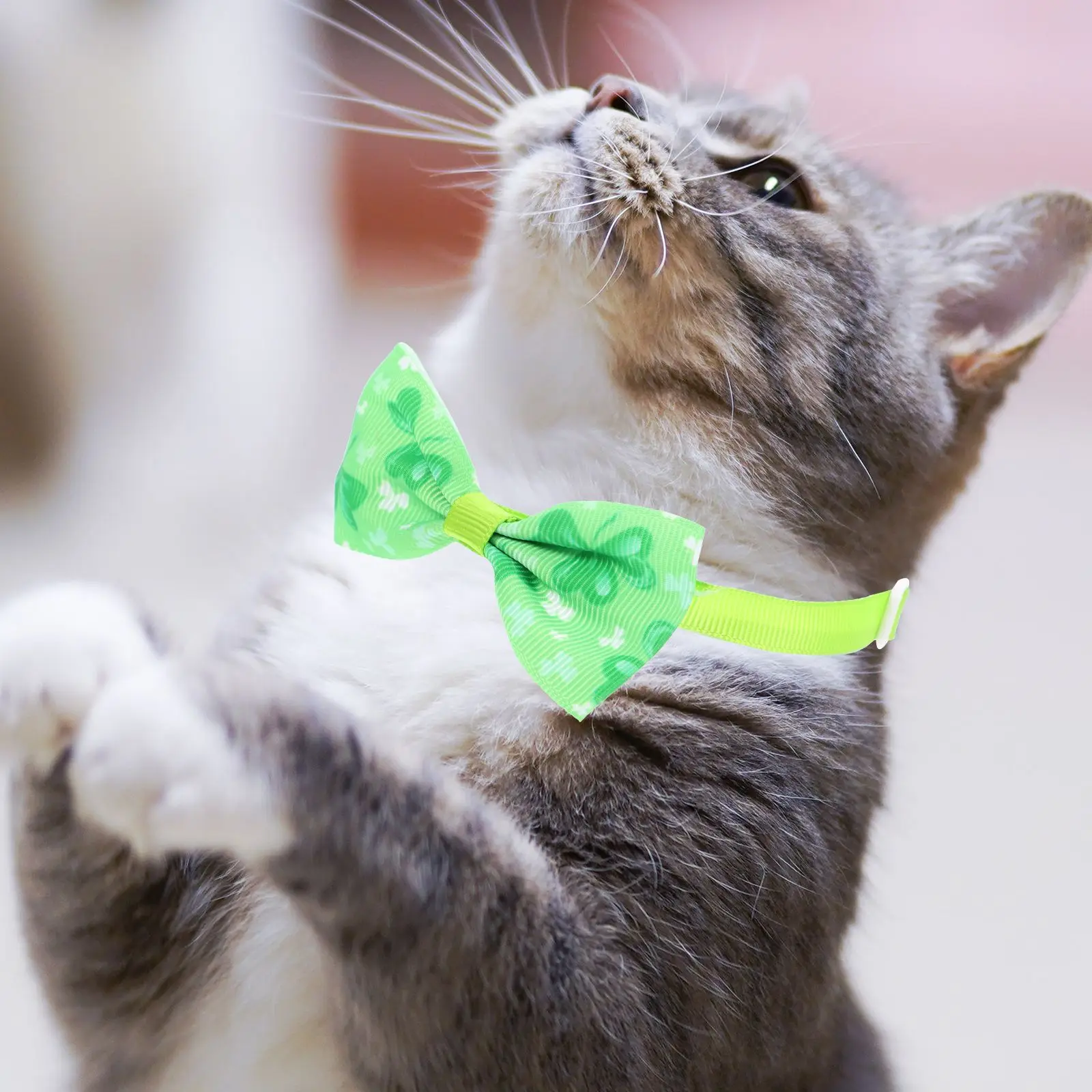 5pcs Pet Dog Bow Tie St Patrick Day Adjustable Collars Holiday Cat Polyester Bow Knot Lightweight Pet Accessories Dog Cat
5pcs Pet Dog Bow Tie St Patrick Day Adjustable Collars Holiday Cat Polyester Bow Knot Lightweight Pet Accessories Dog Cat