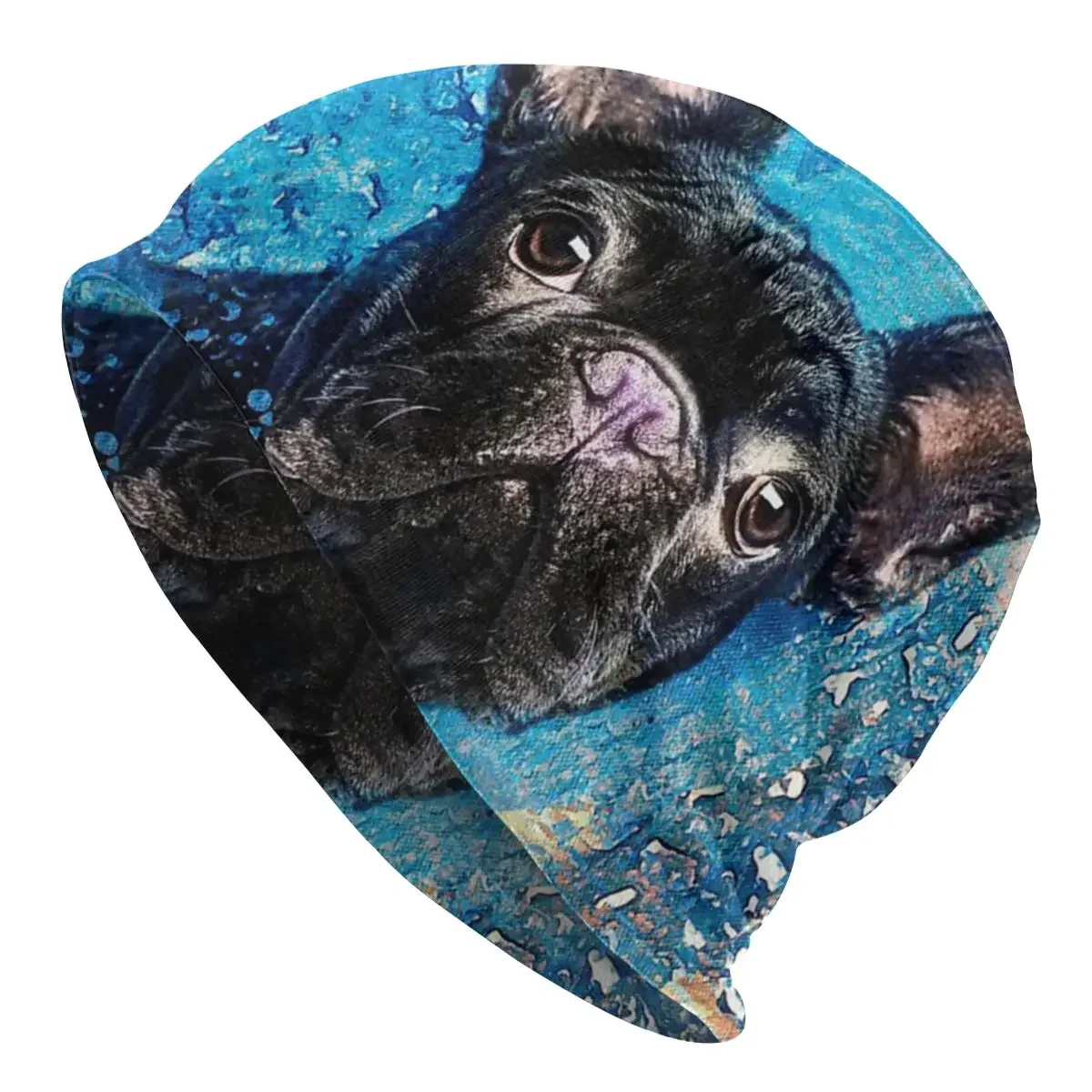 French Bulldog Frenchie Dog Bonnet Hat Knitting Hats Autumn Winter Street Animal Skullies Beanies Hats Warm Thermal Elastic Cap
French Bulldog Frenchie Dog Bonnet Hat Knitting Hats Autumn Winter Street Animal Skullies Beanies Hats Warm Thermal Elastic Cap