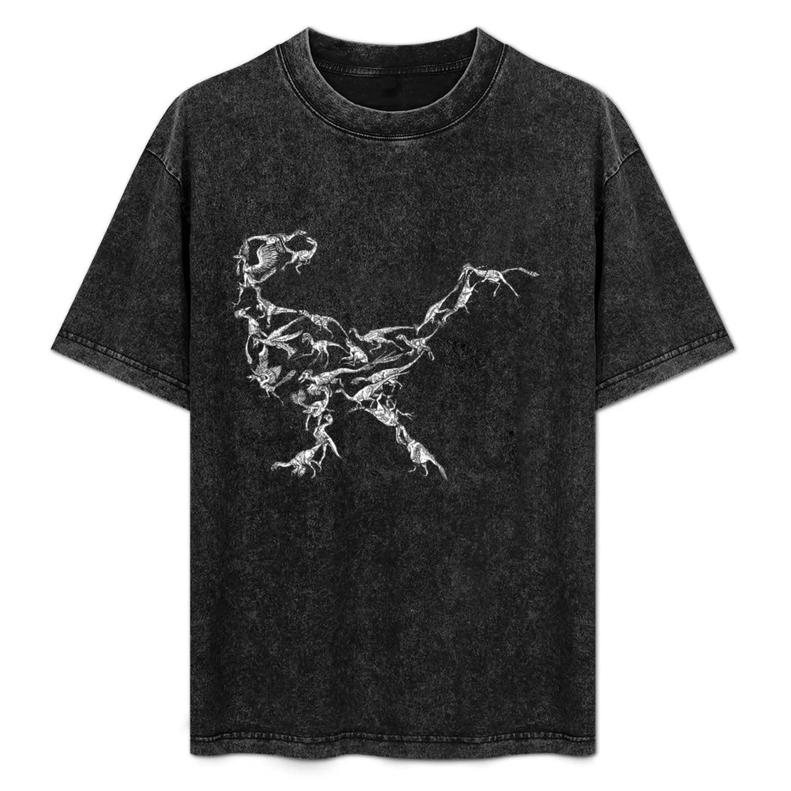 Maniraptors (Raptors) - Evolution T-Shirt Fashion Pattern Printed Tee Shirt
Maniraptors (Raptors) - Evolution T-Shirt Fashion Pattern Printed Tee Shirt
