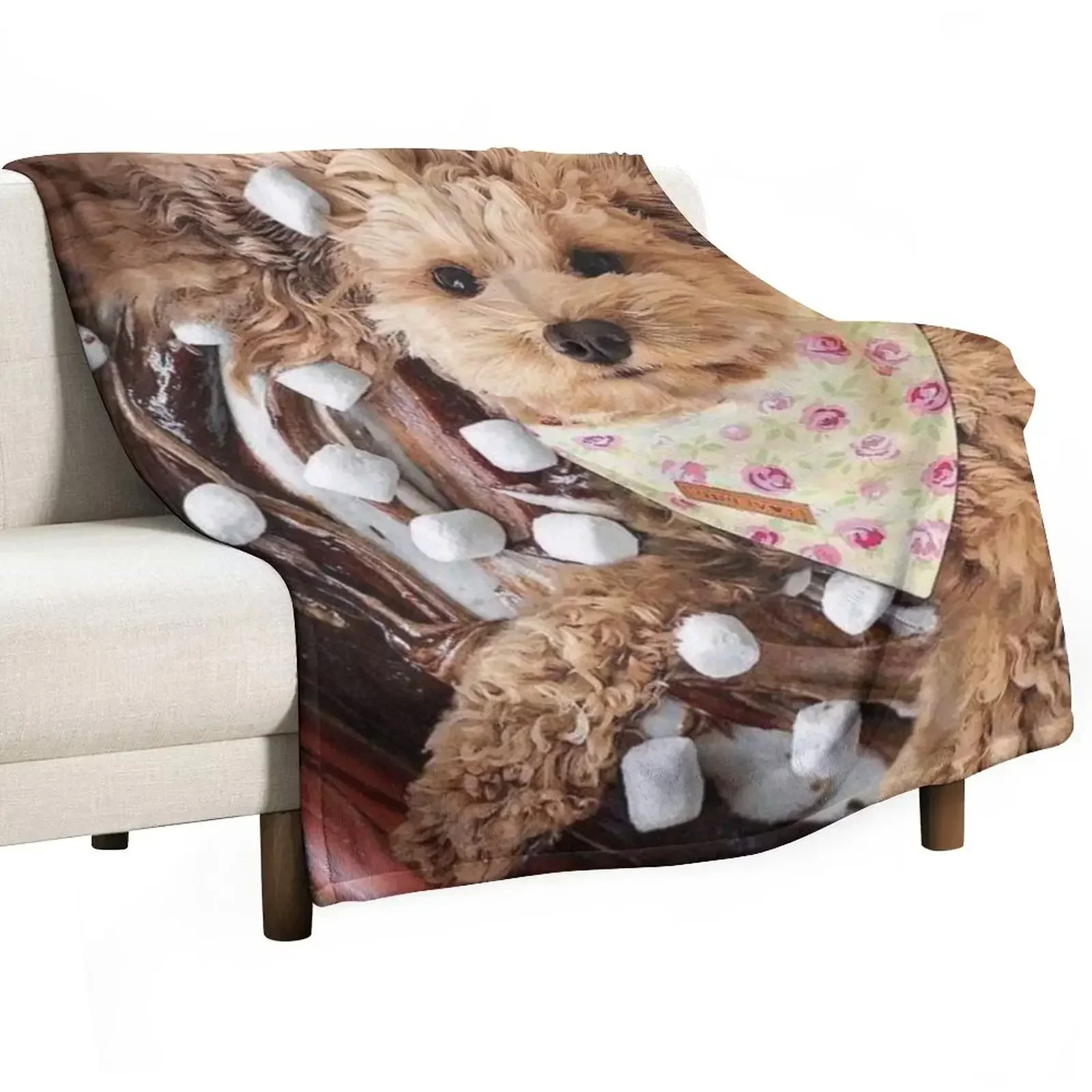 Cute cavapoo Throw Blanket heavy to sleep Hair Blankets For Bed Decorative Sofas Blankets
Cute cavapoo Throw Blanket heavy to sleep Hair Blankets For Bed Decorative Sofas Blankets