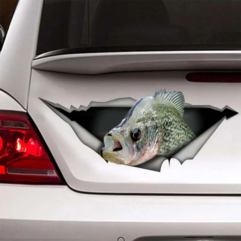 Crappy fish Funny Car Sticker Waterproof Vinyl Decal on Bumper Rear Window Laptop Self-adhesive Decal For Car Accessories SH160
Crappy fish Funny Car Sticker Waterproof Vinyl Decal on Bumper Rear Window Laptop Self-adhesive Decal For Car Accessories SH160