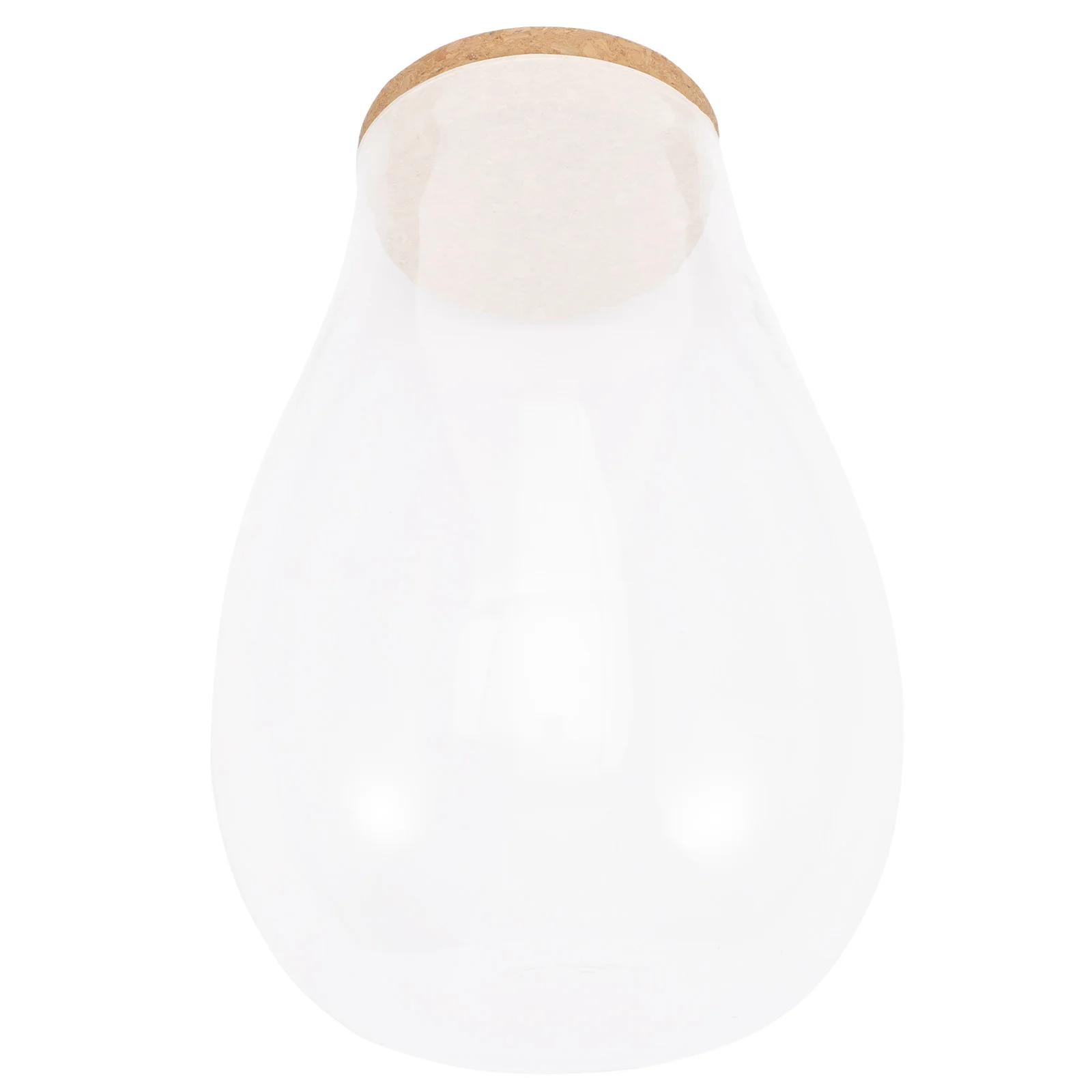 1pcs Moss Terrarium Diy Glass For Home Office Decor Plant Landscape Container Ecological Bottle Terrarium Glass Containers
1pcs Moss Terrarium Diy Glass For Home Office Decor Plant Landscape Container Ecological Bottle Terrarium Glass Containers