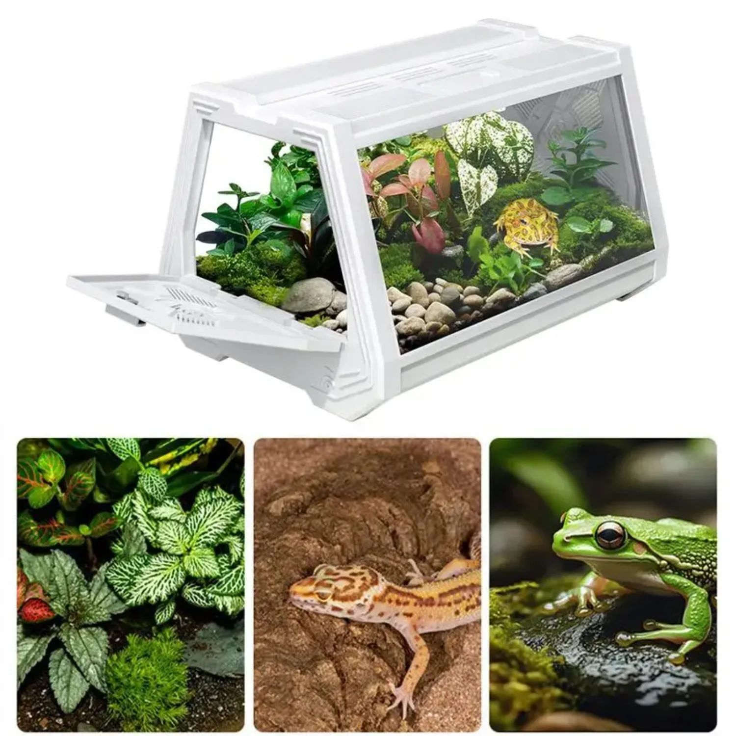 Portable Reptile Cage – Ventilated Escape-Proof Habitat for Lizard, Spider, Snake, Snails, Feeding Tank Playpen
Portable Reptile Cage – Ventilated Escape-Proof Habitat for Lizard, Spider, Snake, Snails, Feeding Tank Playpen