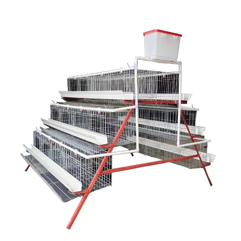 3T4D Type Layer Chicken Poultry Cage Equipment Galvanized Iron Wire High-Capacity (96-160) Durable Easy Assembly Custom
3T4D Type Layer Chicken Poultry Cage Equipment Galvanized Iron Wire High-Capacity (96-160) Durable Easy Assembly Custom