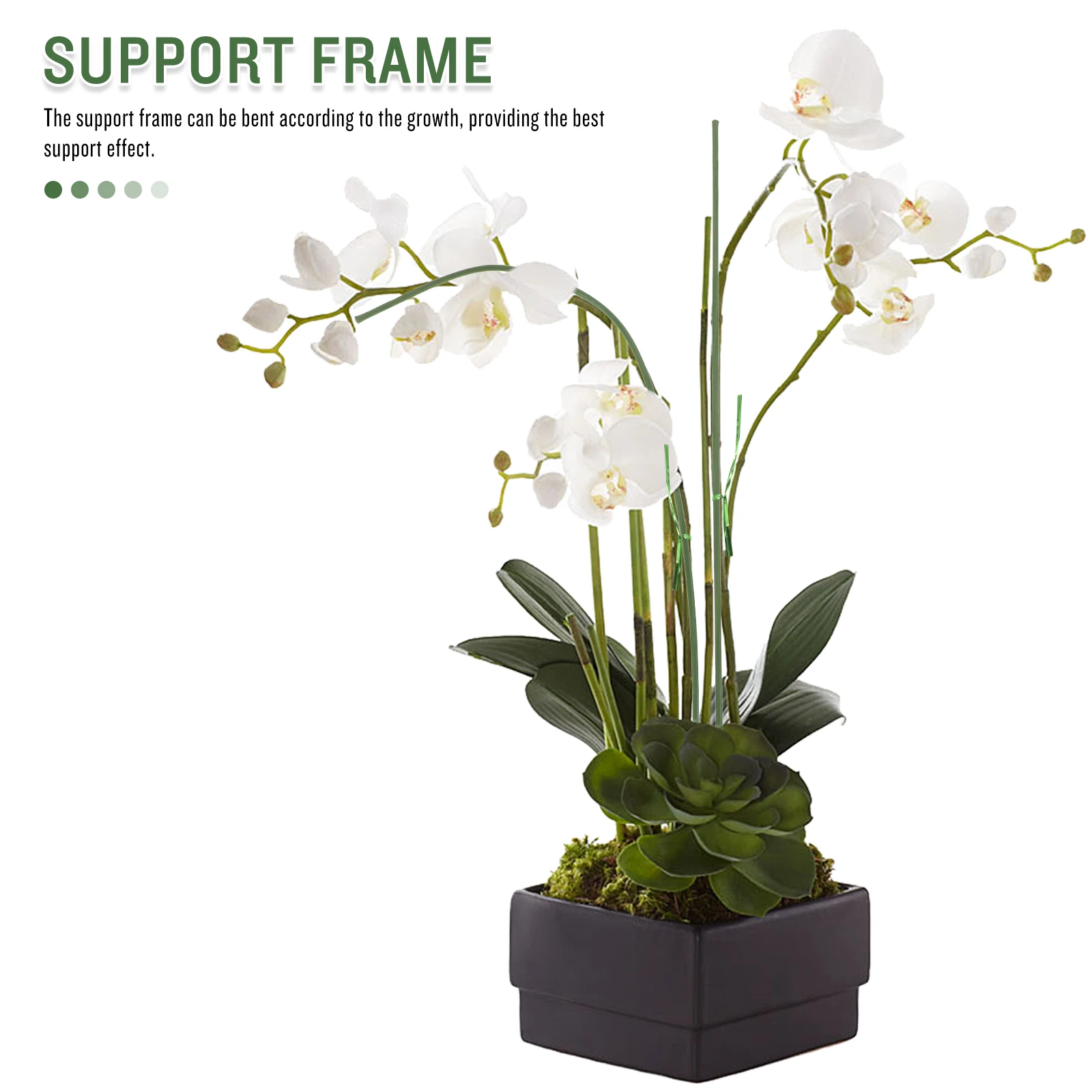 20pcs Stakes Single Stem Flower Pole Garden Plant Support Rack Potted Plant Support Rods Metal Plastic Flower Stakes For Indoor
20pcs Stakes Single Stem Flower Pole Garden Plant Support Rack Potted Plant Support Rods Metal Plastic Flower Stakes For Indoor