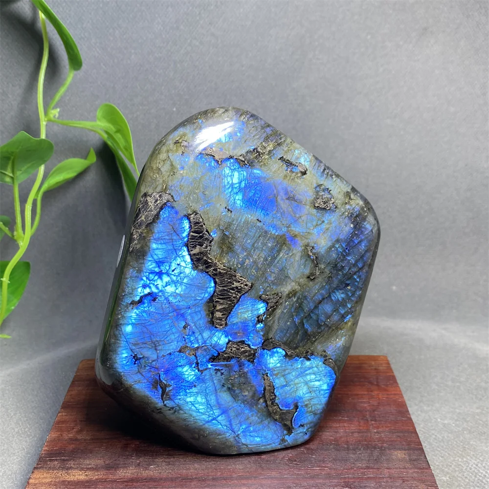 Natural Labradorite Crystal Stone Angel Feng Shui Ornament Home Decor Sacred Altar Decoration Piece for Spiritual Healing
Natural Labradorite Crystal Stone Angel Feng Shui Ornament Home Decor Sacred Altar Decoration Piece for Spiritual Healing