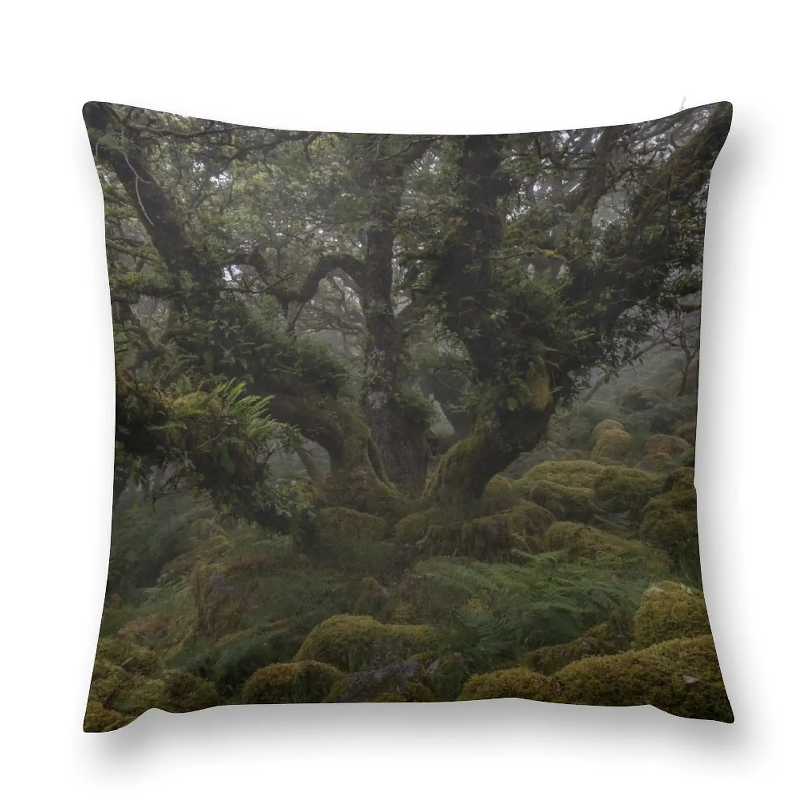 The Heart of Magic Throw Pillow Custom Cushion Decorative Cover For Living Room pillow
The Heart of Magic Throw Pillow Custom Cushion Decorative Cover For Living Room pillow