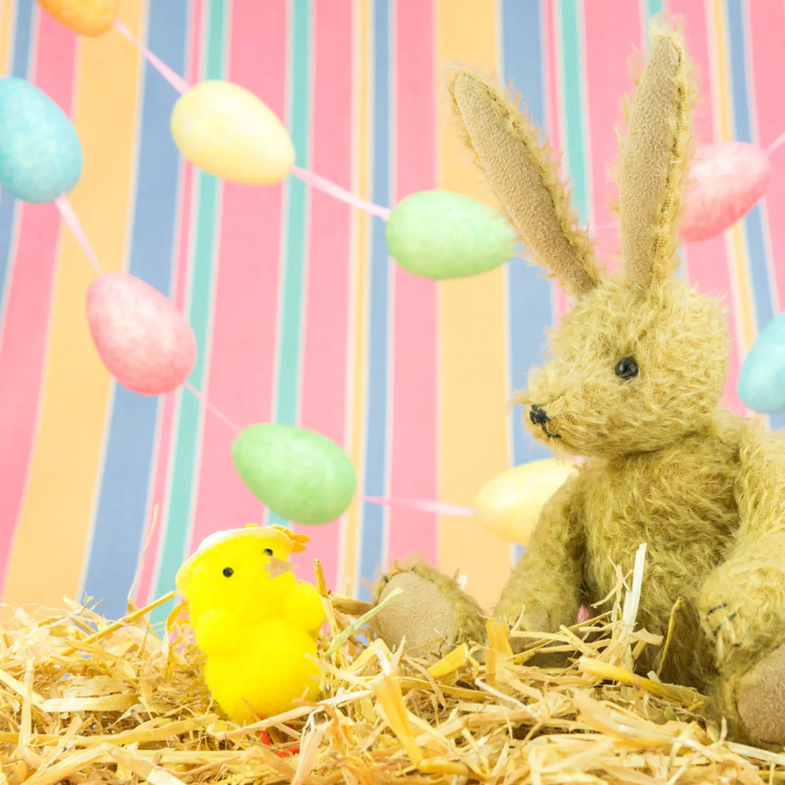 200 шт. пластиковых накладных клювов животных, имитация клювов кур, детали для костюмов птиц для школьных мероприятий и фестивалей
200 шт. пластиковых накладных клювов животных, имитация клювов кур, детали для костюмов птиц для школьных мероприятий и фестивалей