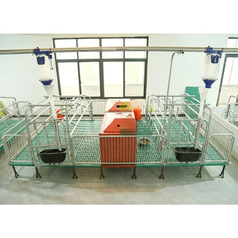 Customized Dual-unit Sow Farrowing Crate with Integrated Nursery and Hot-dip Galvanized Single Farrowing Crate for Pig Farming.
Customized Dual-unit Sow Farrowing Crate with Integrated Nursery and Hot-dip Galvanized Single Farrowing Crate for Pig Farming.