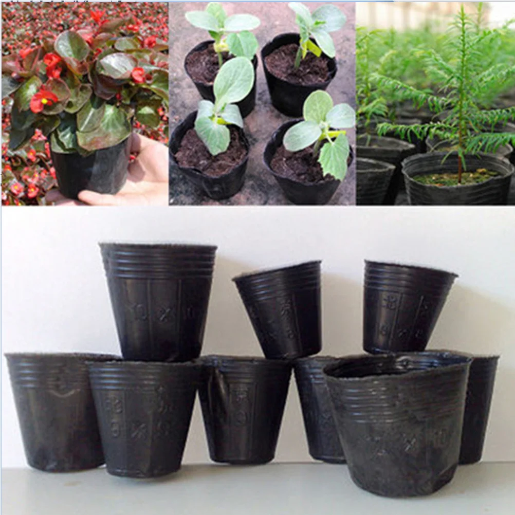 300pcs 6.5X6.5Cm Plastic Nursery Pots Lightweight Reusable Seedling Trays For Garden Planting Vegetables Herbs Tomatoes
300pcs 6.5X6.5Cm Plastic Nursery Pots Lightweight Reusable Seedling Trays For Garden Planting Vegetables Herbs Tomatoes